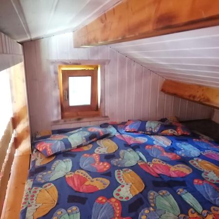Kleines Studio Im Eichenwaeldchen, 1 Zimmer Kueche Bad Friedrichsgrun Exteriér fotografie