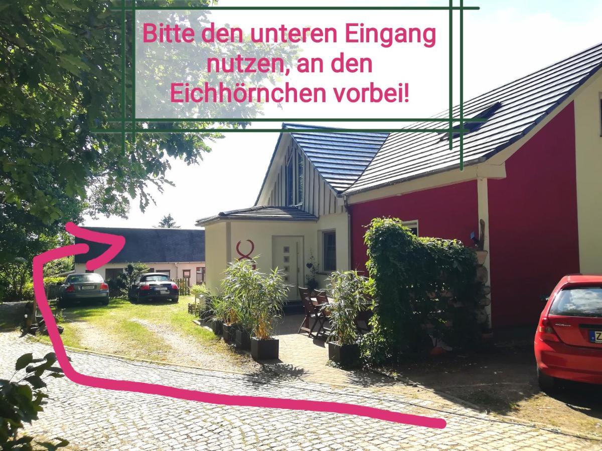Kleines Studio Im Eichenwaeldchen, 1 Zimmer Kueche Bad Friedrichsgrun Exteriér fotografie