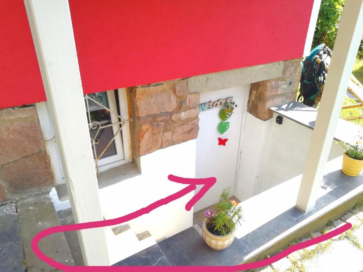 Kleines Studio Im Eichenwaeldchen, 1 Zimmer Kueche Bad Friedrichsgrun Exteriér fotografie