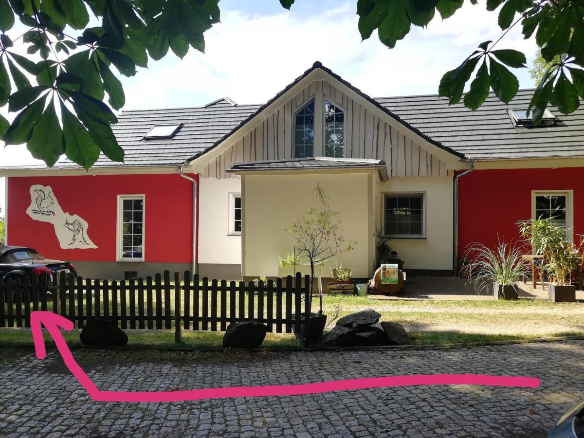 Kleines Studio Im Eichenwaeldchen, 1 Zimmer Kueche Bad Friedrichsgrun Exteriér fotografie